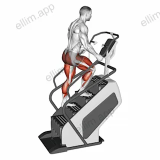 Walking on Stepmill exercise targeting Thighs and Adductor Magnus