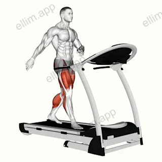 Walking on Treadmill exercise targeting Cardio and Adductor Magnus