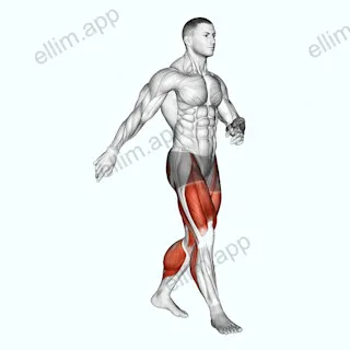 Walking exercise targeting Cardio and Adductor Magnus