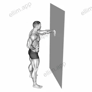 Wall Flexors Stretch exercise targeting Forearms