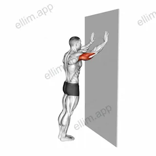 Wall Pulse exercise targeting Upper Arms and Triceps Brachii