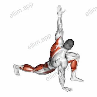 Warming-up in Lunge (five) exercise targeting Back and Hips