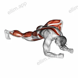 Warming-up in Lunge (six) exercise targeting Hips and Thighs
