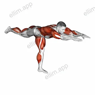 Warrior Pose exercise targeting Back and Hips