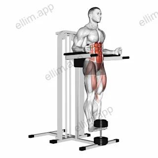 Weighted Captains chair leg raise exercise targeting Hips