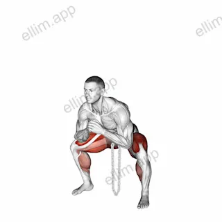 Weighted Chain Sumo Deadlift exercise targeting Hips