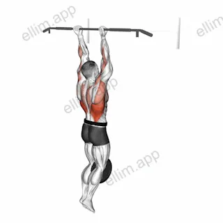 Weighted Chin-Up exercise targeting Back and Infraspinatus