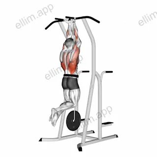 Weighted Close-Grip Chin-up on Dip Cage exercise targeting Back