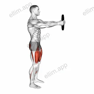 Weighted Counterbalanced Squat exercise targeting Thighs and Gluteus Maximus