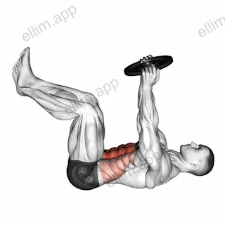 Weighted Crunch exercise targeting Waist and Rectus Abdominis