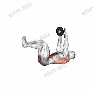 Weighted Dead Bug exercise targeting Waist