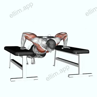 Weighted Drop Push Up exercise targeting Chest and Pectoralis Major Sternal Head