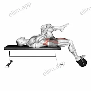 Weighted Dumbbell Lying Knee Raise exercise targeting Hips