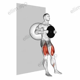 Weighted Exercise Ball Wall Squat exercise targeting Thighs