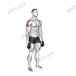 Weighted Full Can Exercise exercise targeting Shoulders