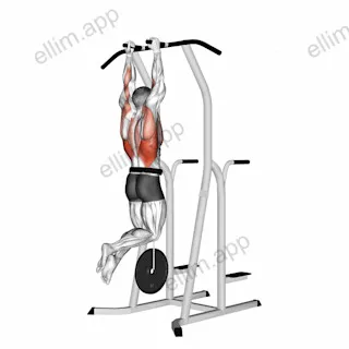 Weighted Hammer Grip Pull up on Dip Cage exercise targeting Back