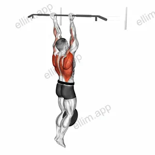 Weighted Hang Chin-Up exercise targeting Back