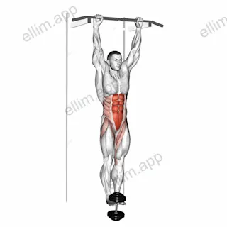 Weighted Hanging leg hip raise exercise targeting Waist