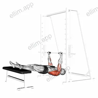 Weighted Inverted Row exercise targeting Back and Infraspinatus