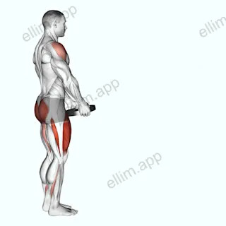 Weighted Lunge with Swing exercise targeting Deltoid Anterior and Gluteus Maximus