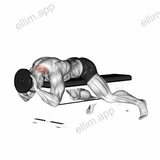 Weighted Lying Neck Extension exercise targeting Neck and Splenius