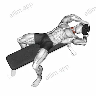 Weighted Lying Neck Head Twist exercise targeting Neck