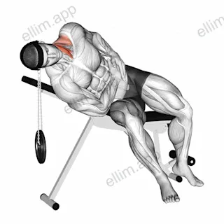 Weighted Lying Side Lifting Head with head harness exercise targeting Neck and Sternocleidomastoid