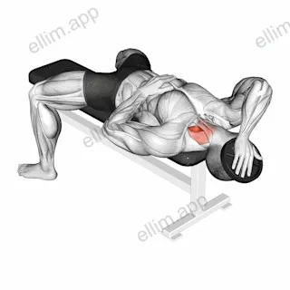 Weighted Lying Side Neck Raise exercise targeting Neck