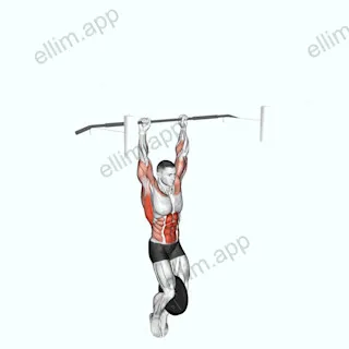 Weighted Muscle-up (on bar) exercise targeting Back
