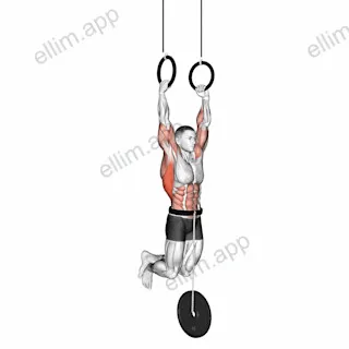 Weighted Muscle-up exercise targeting Back