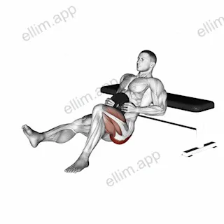Weighted one leg hip thrust exercise targeting Hips and Gluteus Maximus