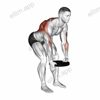 Weighted Plate Bent Over Row exercise targeting Back and Infraspinatus