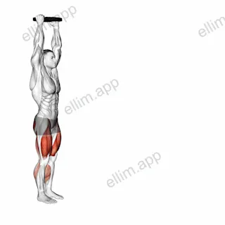 Weighted Plate Overhead March exercise targeting Thighs and Gluteus Maximus