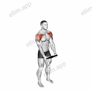 Weighted Plate Standing High Front Raise exercise targeting Shoulders