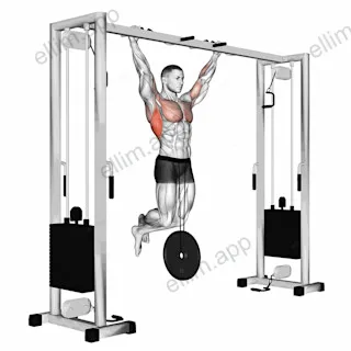 Weighted Pull Up exercise targeting Back