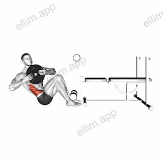 Weighted Russian Twist exercise targeting Waist and Obliques