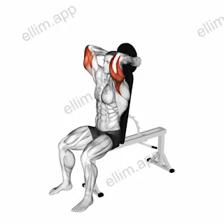Weighted Seated Triceps Extension exercise targeting Upper Arms