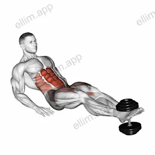 Weighted Seated Tuck Crunch on Floor exercise targeting Waist