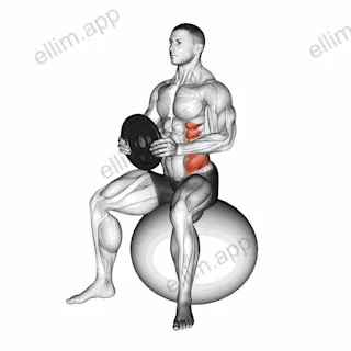 Weighted Seated Twist (on stability ball) exercise targeting Waist and Obliques