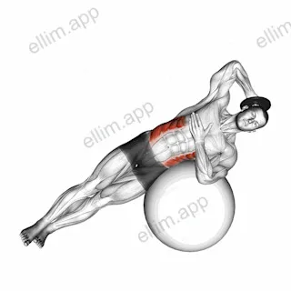 Weighted Side Bend (on stability ball) exercise targeting Waist and Obliques