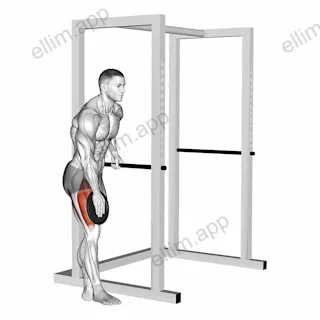 Weighted Single Leg Lift exercise targeting Thighs and Iliopsoas