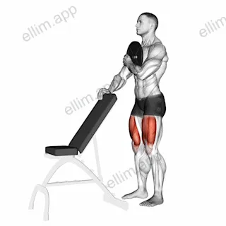Weighted Sissy Squat exercise targeting Thighs and Quadriceps