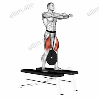 Weighted Squat exercise targeting Thighs and Gluteus Maximus