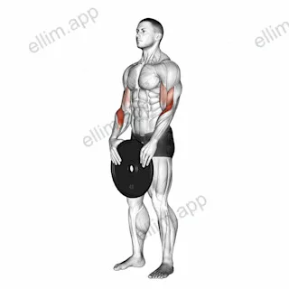 Weighted Standing Curl exercise targeting Forearms and Brachioradialis