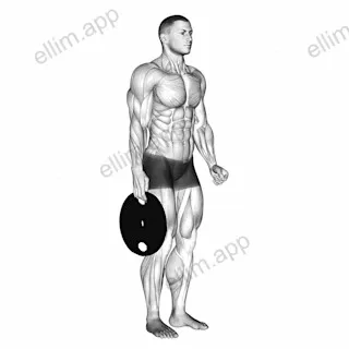 Weighted Standing Hand Squeeze exercise targeting Forearms