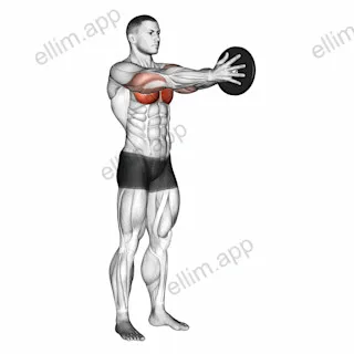 Weighted Svend Press exercise targeting Chest and Pectoralis Major Sternal Head
