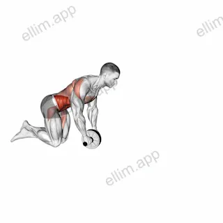 Wheel Rollout exercise targeting Back and Iliopsoas