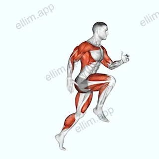 Wheel Run exercise targeting Cardio