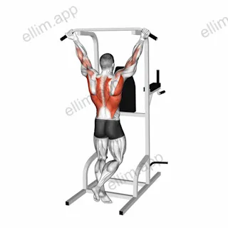 Wide Chin-up exercise targeting Back