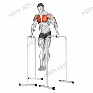 Wide Grip Chest Dip on High Parallel Bars exercise targeting Chest